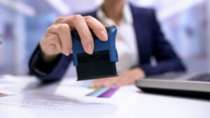 CNES, Qual A Sua Importância?
